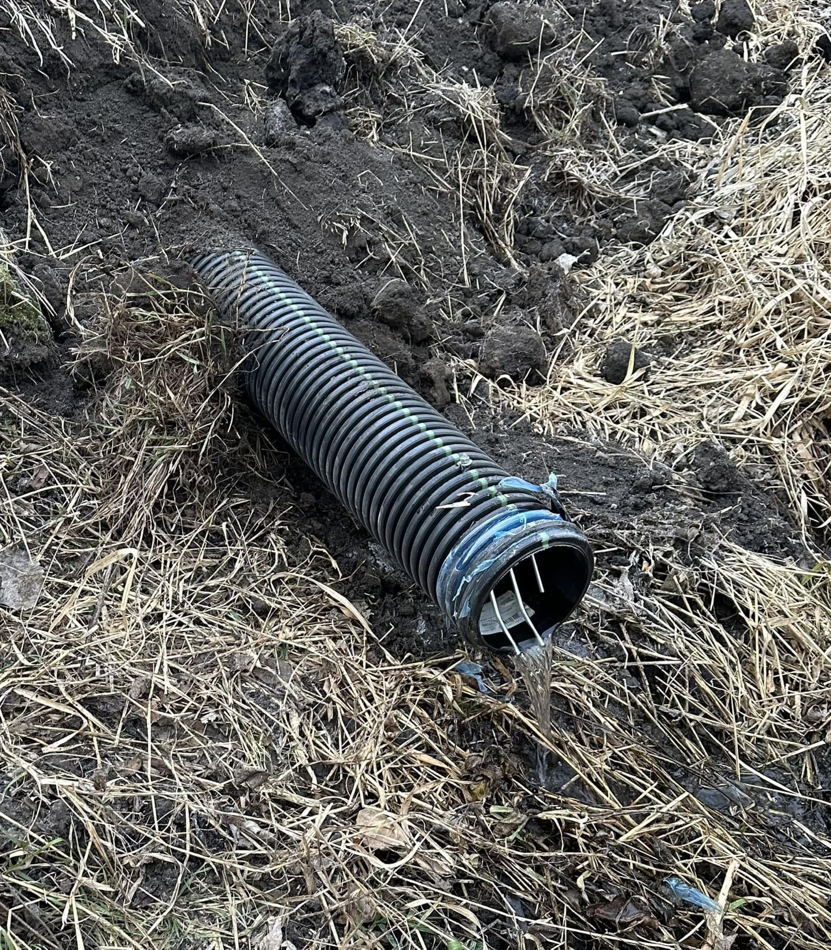 Drainage tile outlet discharging water from a tiled Iowa farm field Drainage tile outlet discharging water from a tiled Iowa farm field